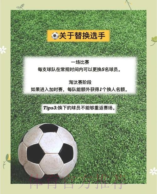 世界杯投注全面解析与实战教程