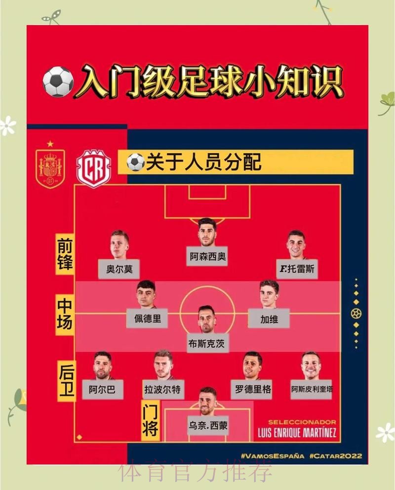世界杯投注全面解析与实战教程